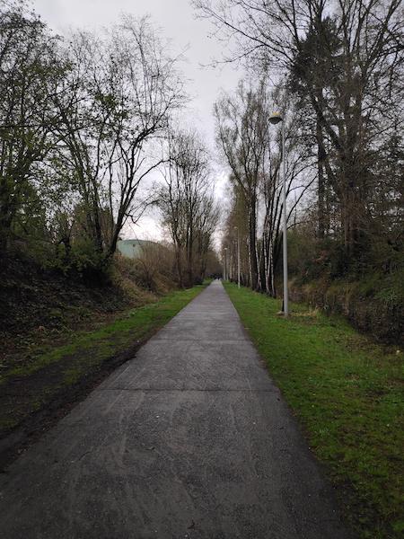 <i>Path to the Trees</i><br>05/04/2022<br>Fléron (BE 🇧🇪)