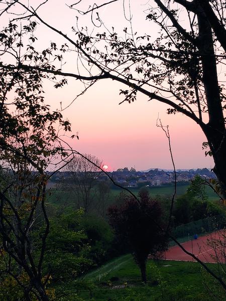 <i>Sunset from my Office</i><br>27/04/2022<br>Fléron (BE 🇧🇪)