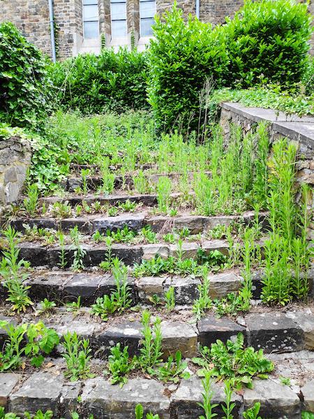 <i>Nature Reclaims its Place</i><br>10/06/2022<br>Chaudfontaine (BE 🇧🇪)