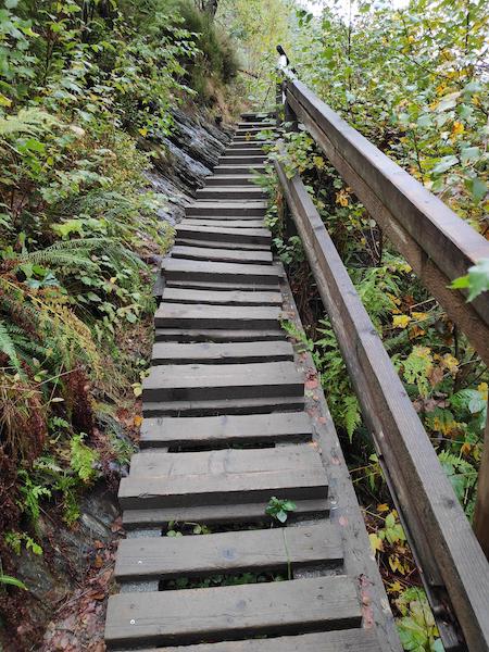 <i>Kids Stairs</i><br>03/10/2022<br>Malmedy (BE 🇧🇪)