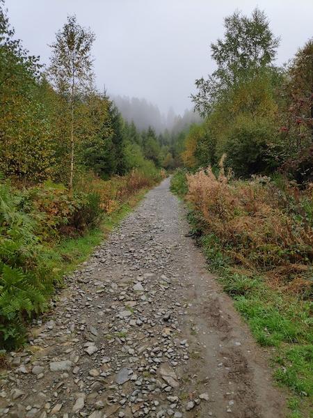 <i>The Mist</i><br>03/10/2022<br>Malmedy (BE 🇧🇪)