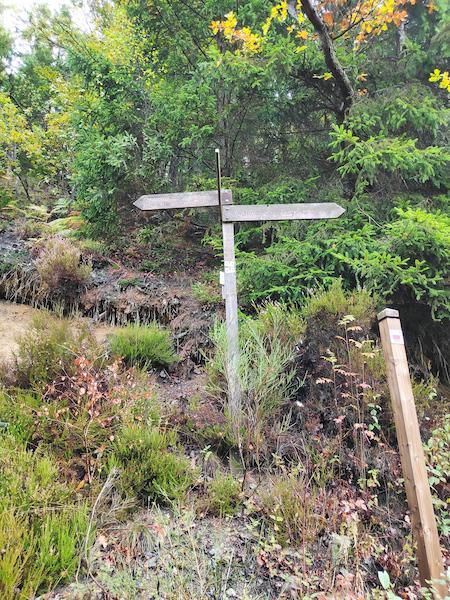 <i>Which Way to Go?</i><br>03/10/2022<br>Malmedy (BE 🇧🇪)