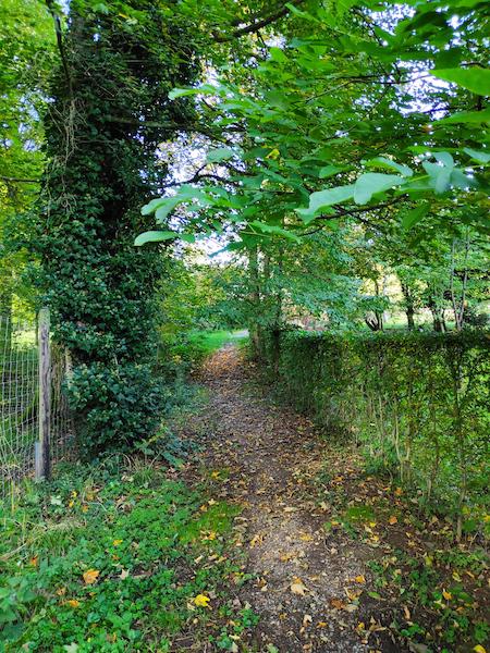 <i>Pathway for the Calmness</i><br>06/10/2022<br>Stavelot (BE 🇧🇪)