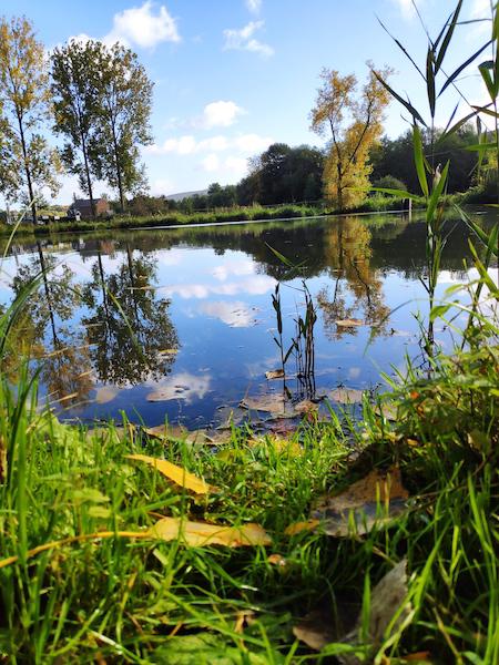 <i>Reflection</i><br>06/10/2022<br>Stavelot (BE 🇧🇪)