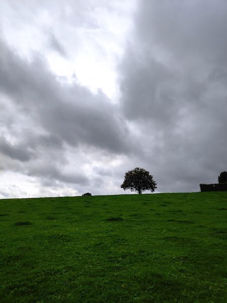 <i>Angry Weather</i><br>15/10/2022<br>Micheroux (BE 🇧🇪)