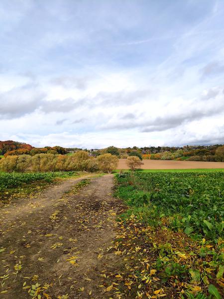 <i>Colorful</i><br>15/10/2022<br>Ayeneux (BE 🇧🇪)