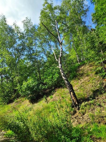 <i>Vertigo</i><br>15/08/2023<br>Chaudfontaine (BE 🇧🇪)