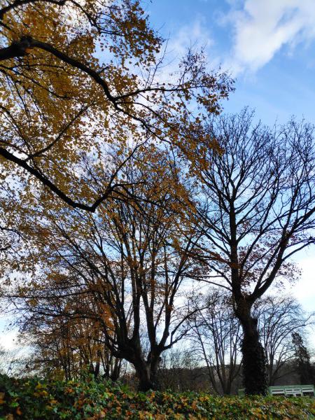 <i>It's just a Blue Sky</i><br>29/11/2023<br>Liège (BE 🇧🇪)